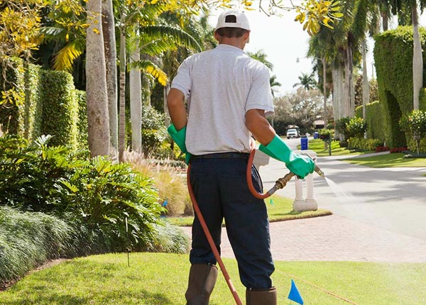 About Adairville KY Pest Control